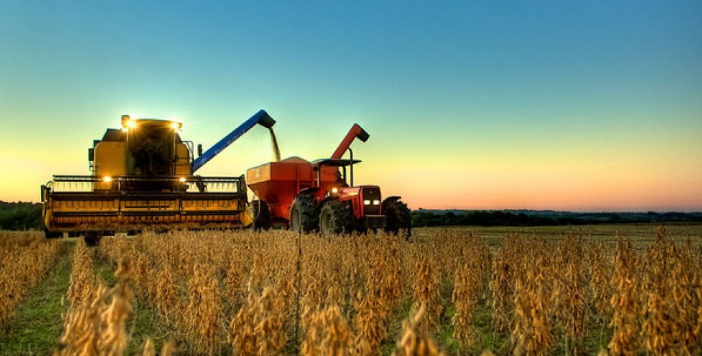 agro 1